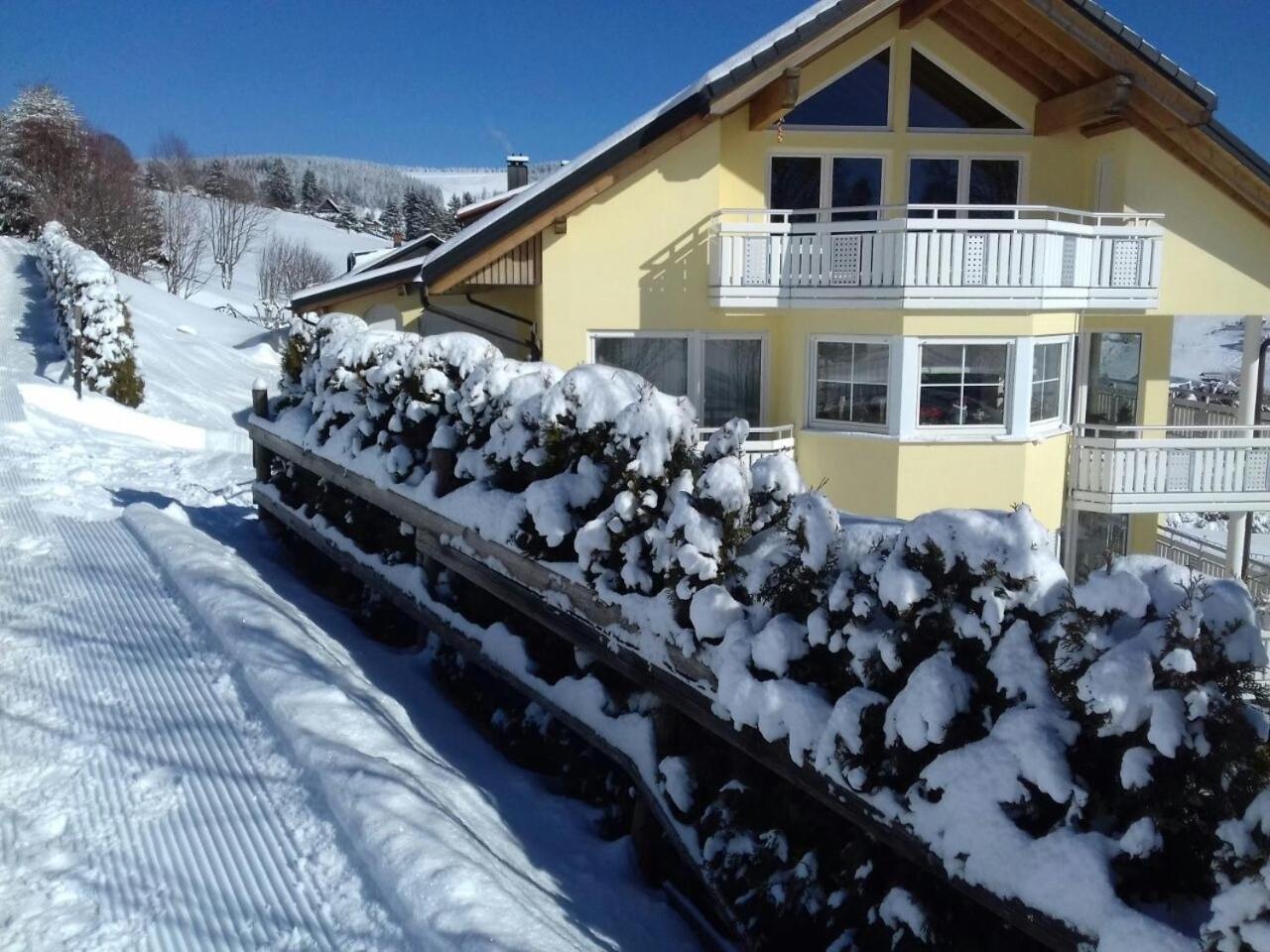 "Schwarzwaldblick" Ferienwohnung 2-4 Pers 65Qm, Schoene Ruhige Suedhanglage Mit Herrl Aussicht تودتناو المظهر الخارجي الصورة