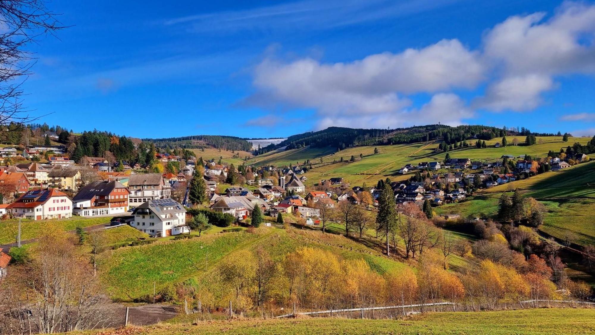 "Schwarzwaldblick" Ferienwohnung 2-4 Pers 65Qm, Schoene Ruhige Suedhanglage Mit Herrl Aussicht تودتناو المظهر الخارجي الصورة