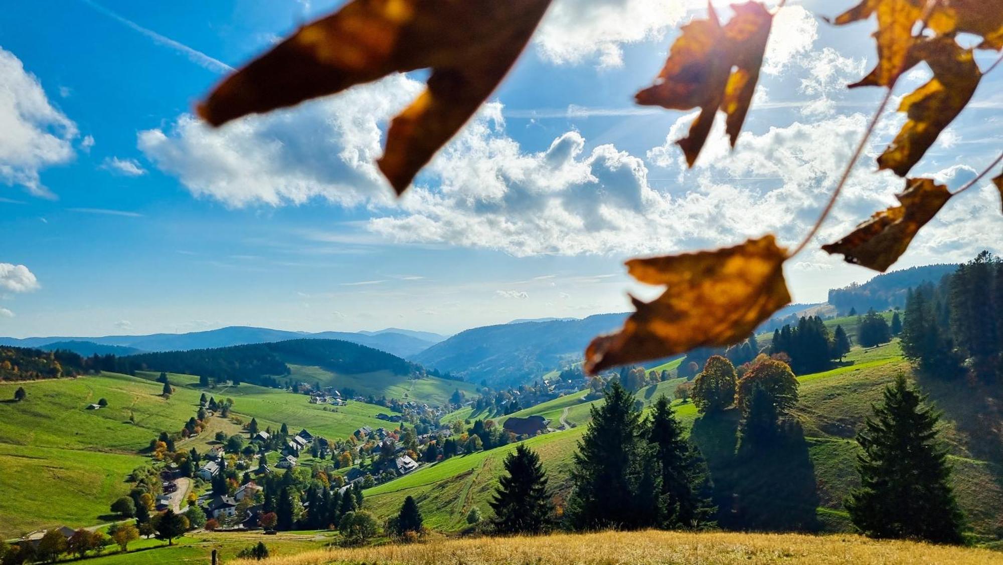 "Schwarzwaldblick" Ferienwohnung 2-4 Pers 65Qm, Schoene Ruhige Suedhanglage Mit Herrl Aussicht تودتناو المظهر الخارجي الصورة