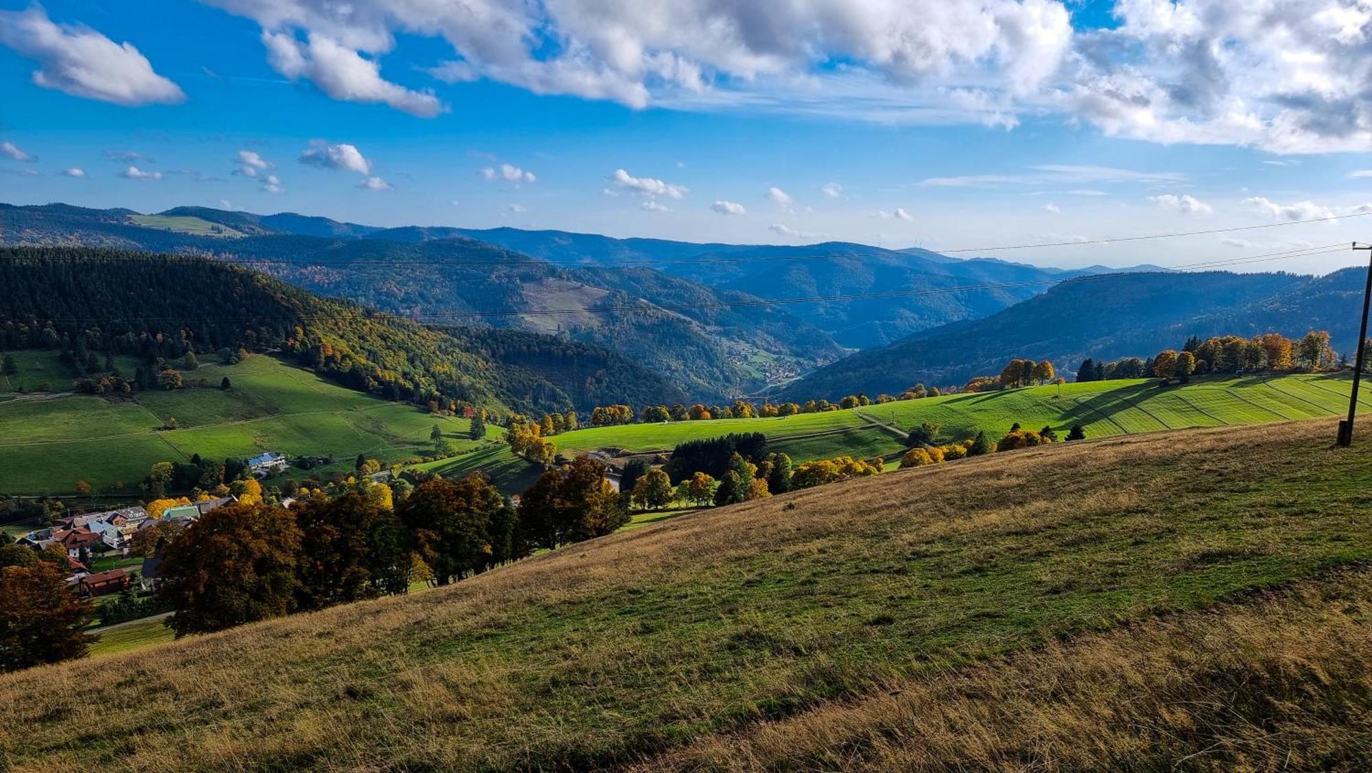 "Schwarzwaldblick" Ferienwohnung 2-4 Pers 65Qm, Schoene Ruhige Suedhanglage Mit Herrl Aussicht تودتناو المظهر الخارجي الصورة